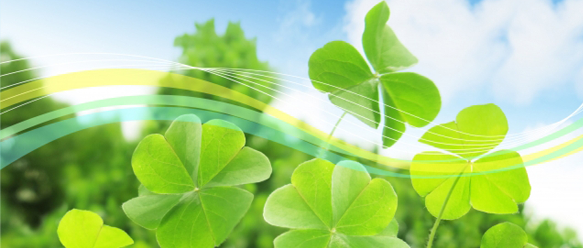 伊勢市八日市場町、南宮町停留所、調剤薬局